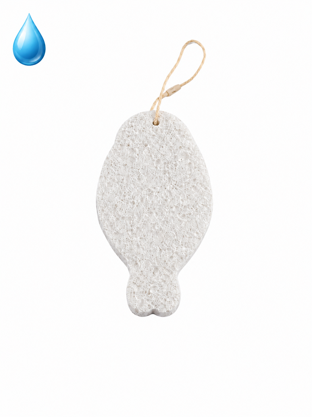Seal Dishcloth ×2
